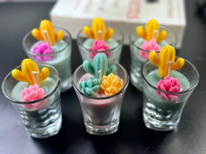 Simhanara Mini Succulent Glass Candle (Pack of 6) - Image 2